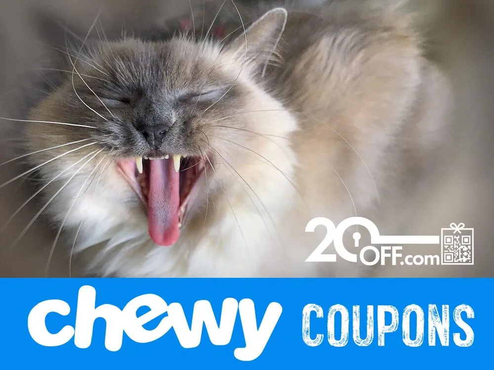 How To Save On Pet Food And Supplies With Chewy.com Discount Codes